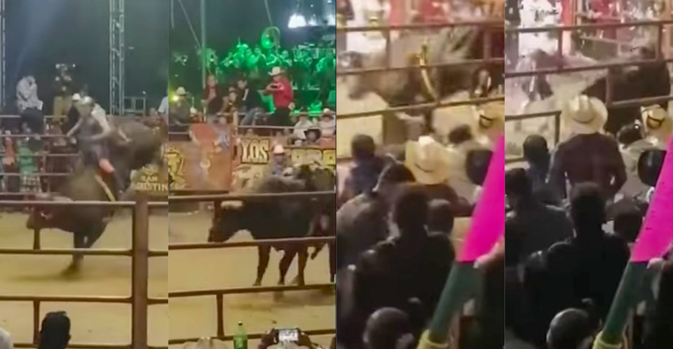 VIDEO: Jinete pierde la vida aplastado por un toro durante jaripeo en Morelos