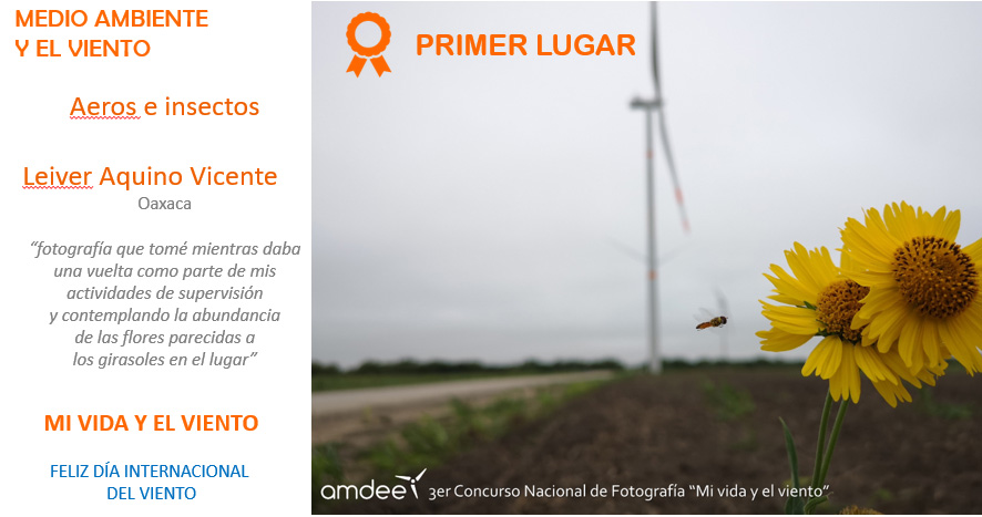 Gana oaxaqueño tercer concurso nacional de fotografía “Mi vida y el viento”