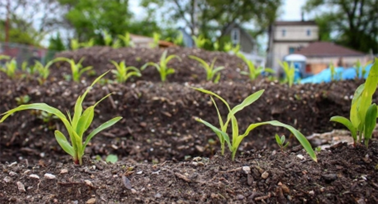 La resiliencia de los jóvenes indígenas en el mundo