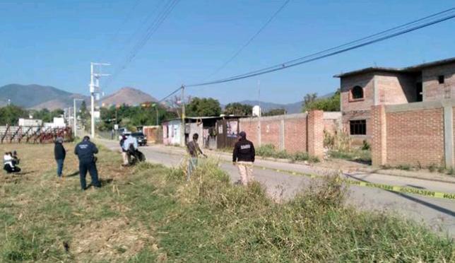 Pánico causa perro con cráneo en el hocico en calles de Zimatlán de Álvarez, Oaxaca