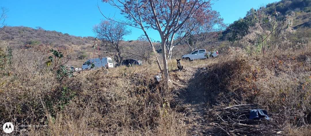 Hallan restos óseos en Suchilquitongo, presumen sean de la joven desaparecida Andrea Itzel