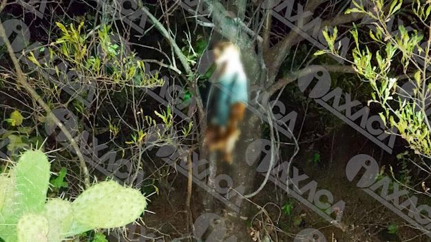 Macabro hallazgo en Guelache, Oaxaca, pobladores acusan a Comisionado y Sego de ocultar información