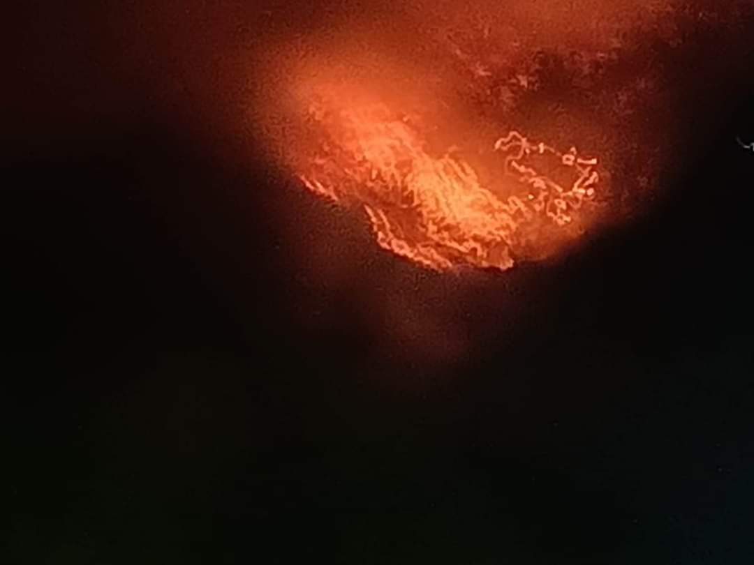 Llega a la CDMX protesta por desatención del Gobierno de Oaxaca a incendio en Mazaltepec