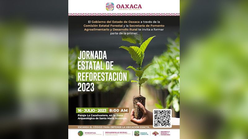 Desarrollo rural realizará la primer jornada estatal de reforestación en Atzompa, Oaxaca