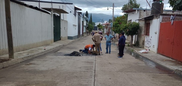San Antonio de la Cal intensifica desazolve de drenajes
