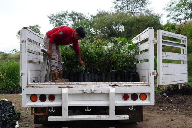 Invita San Antonio de la Cal a adoptar un arbolito