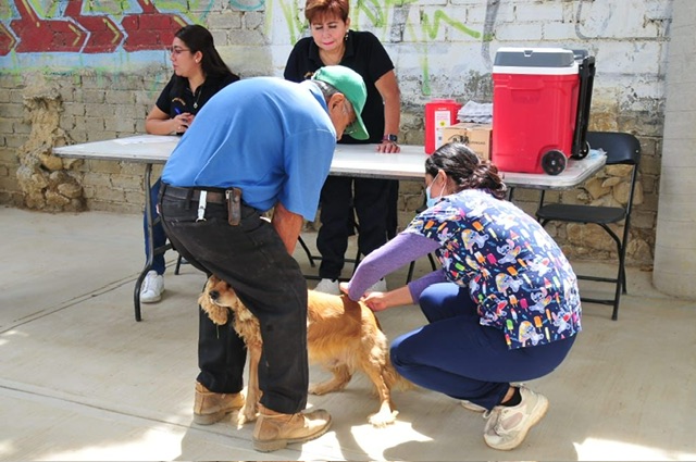 Arranca Jornada Antirrábica Gratuita en San Antonio de la Cal: 135 mascotas vacunadas en el primer día