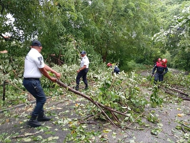 Activa Policía Vial Estatal Plan AVE ante afectaciones carreteras por lluvias en Oaxaca