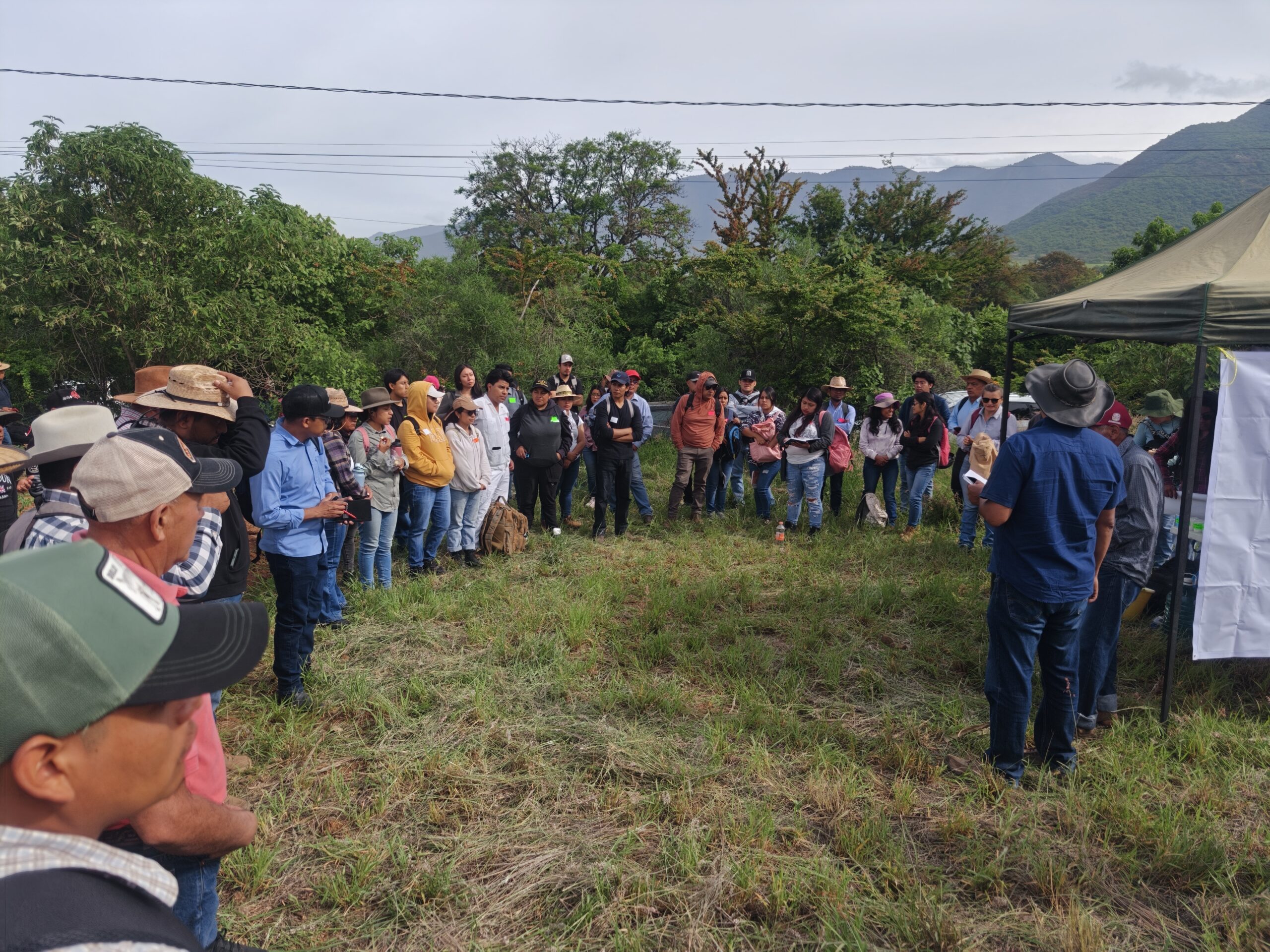 Reúne jornada técnica a 131 participantes de El Maíz es la Raíz en Valles Centrales de Oaxaca
