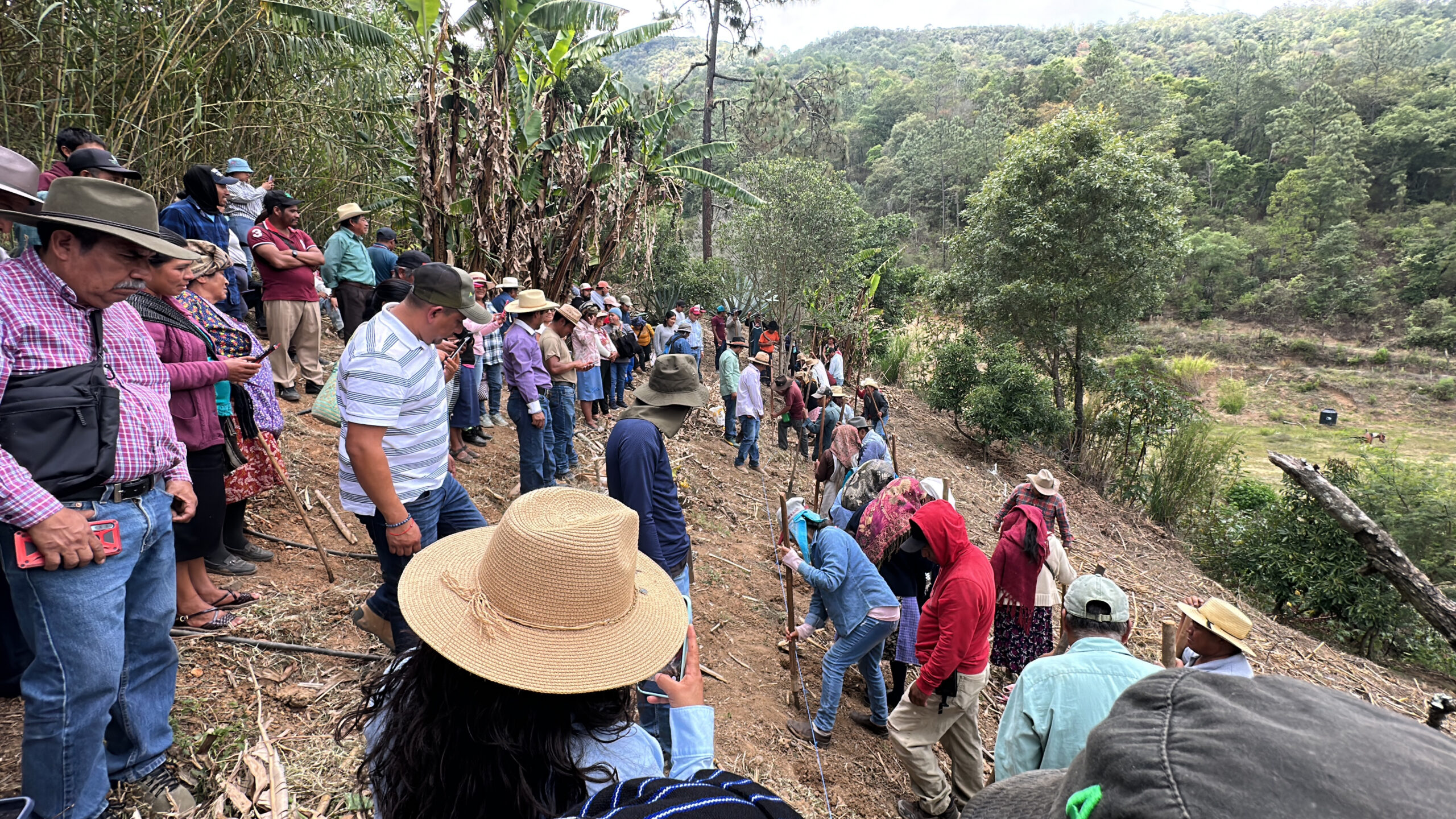 Priorizan el programa El Maíz es la Raíz en la Sierra Norte de Oaxaca Priorizan el programa El Maíz es la Raíz en la Sierra Norte de Oaxaca