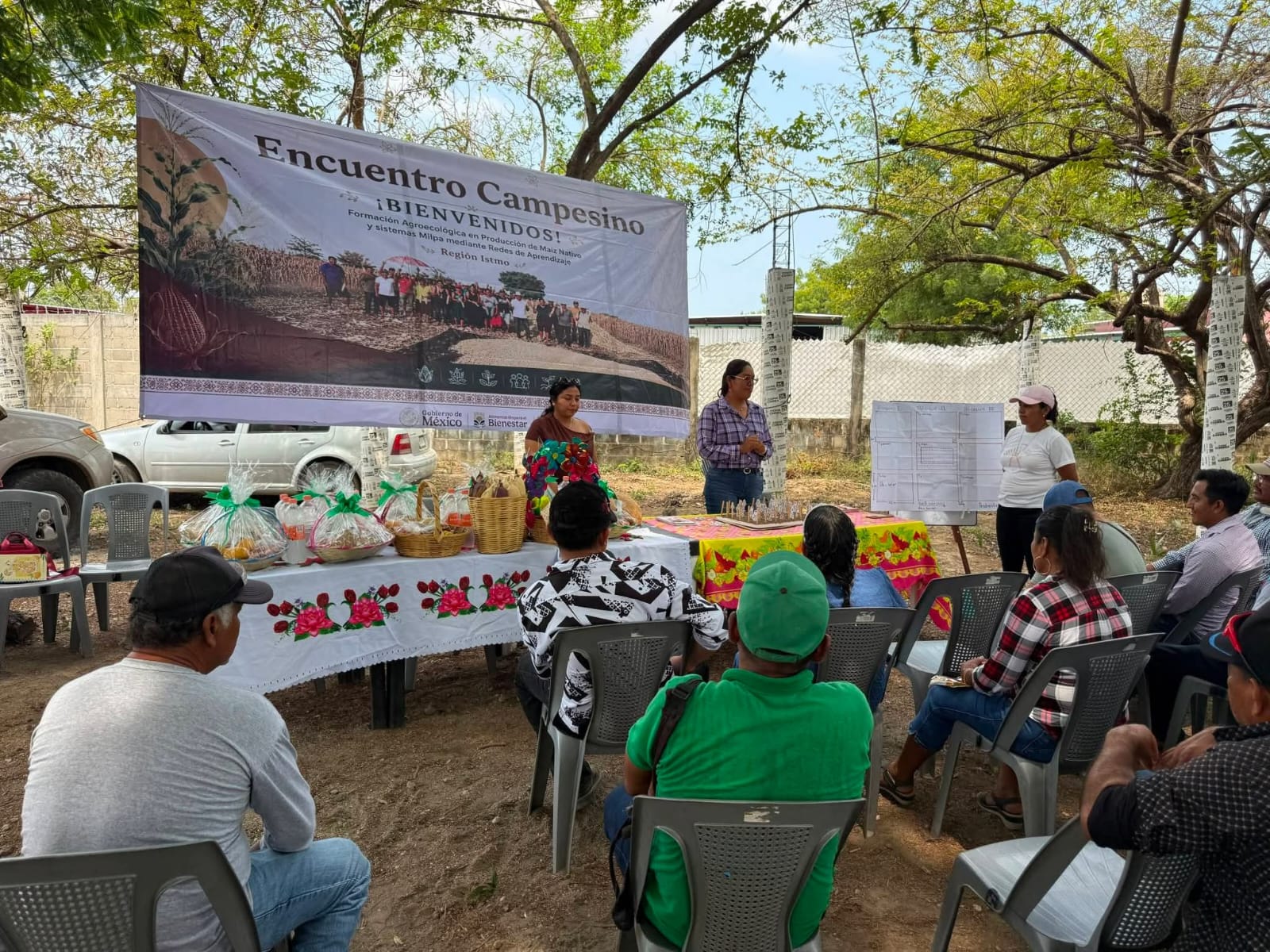 San Francisco del Mar fortalece su campo con El Maíz es la Raíz de la Alimentación para el Bienestar San Francisco del Mar fortalece su campo con El Maíz es la Raíz de la Alimentación para el Bienestar