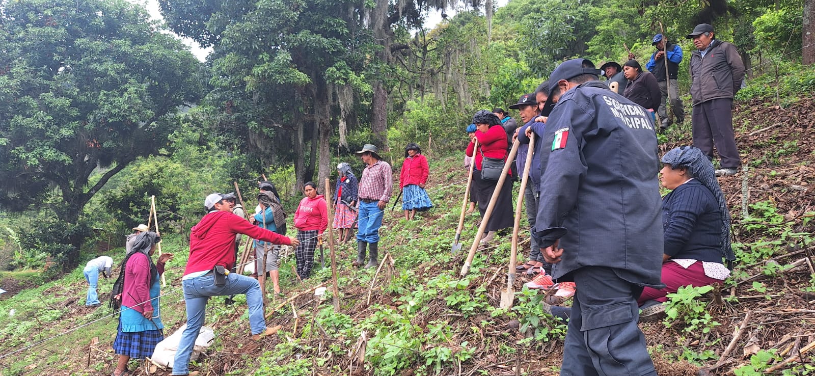 Santo Domingo Tepuxtepec impulsa el maíz nativo con el programa El Maíz es la Raíz Santo Domingo Tepuxtepec impulsa el maíz nativo con el programa El Maíz es la Raíz