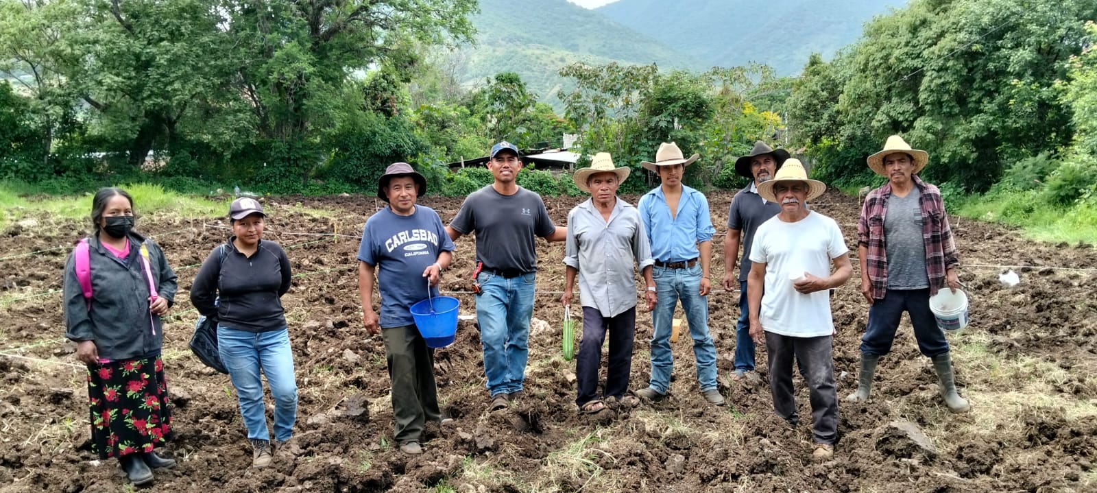 Santa Cruz Mixtepec fortalece la preservación del maíz nativo con parcela de aprendizaje impulsada por El Maíz es la Raíz