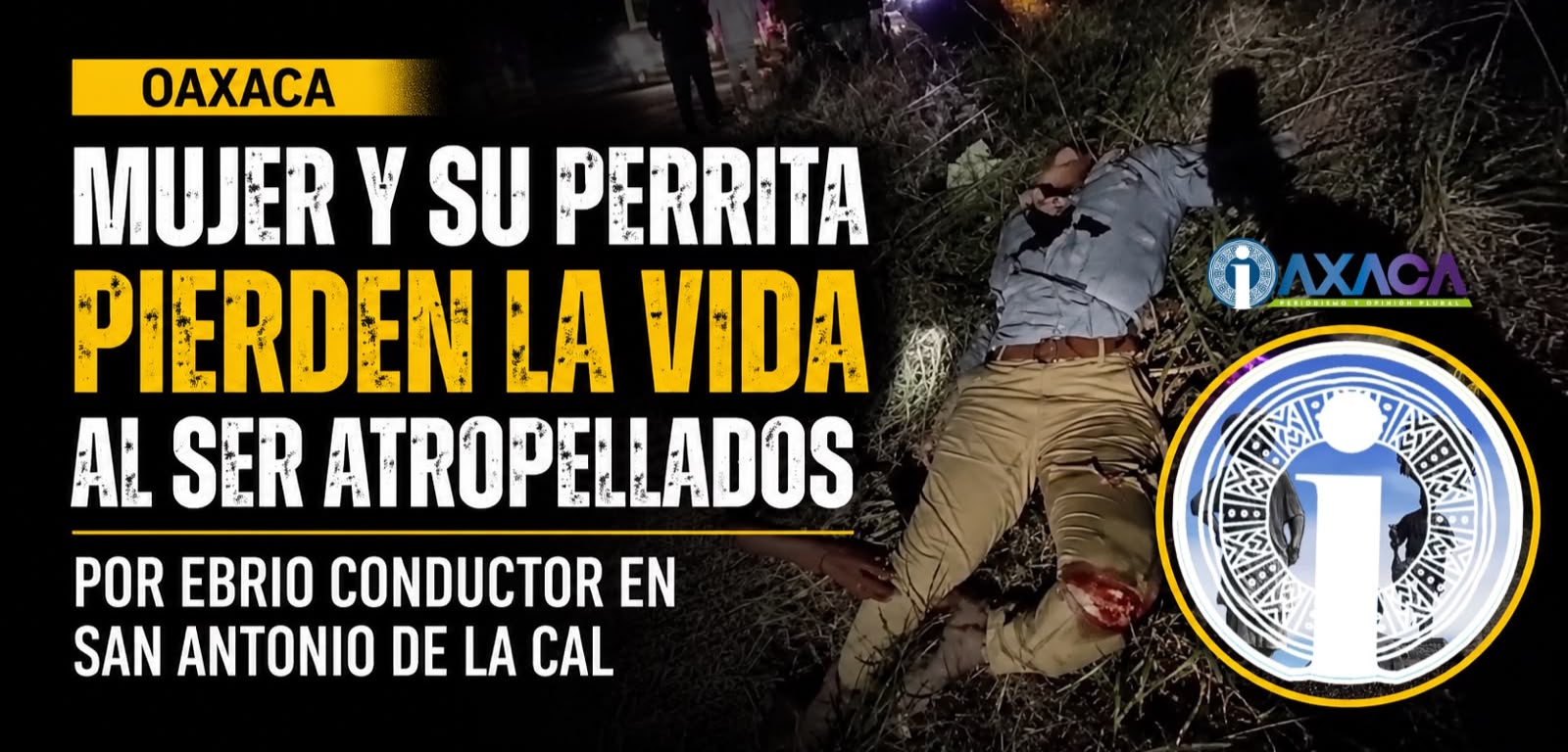 VIDEO: Mujer y su perrita mueren tras ser impactadas por presunto conductor ebrio en San Antonio de la Cal, Oaxaca VIDEO: Mujer y su perrita mueren tras ser impactadas por presunto conductor ebrio en San Antonio de la Cal, Oaxaca