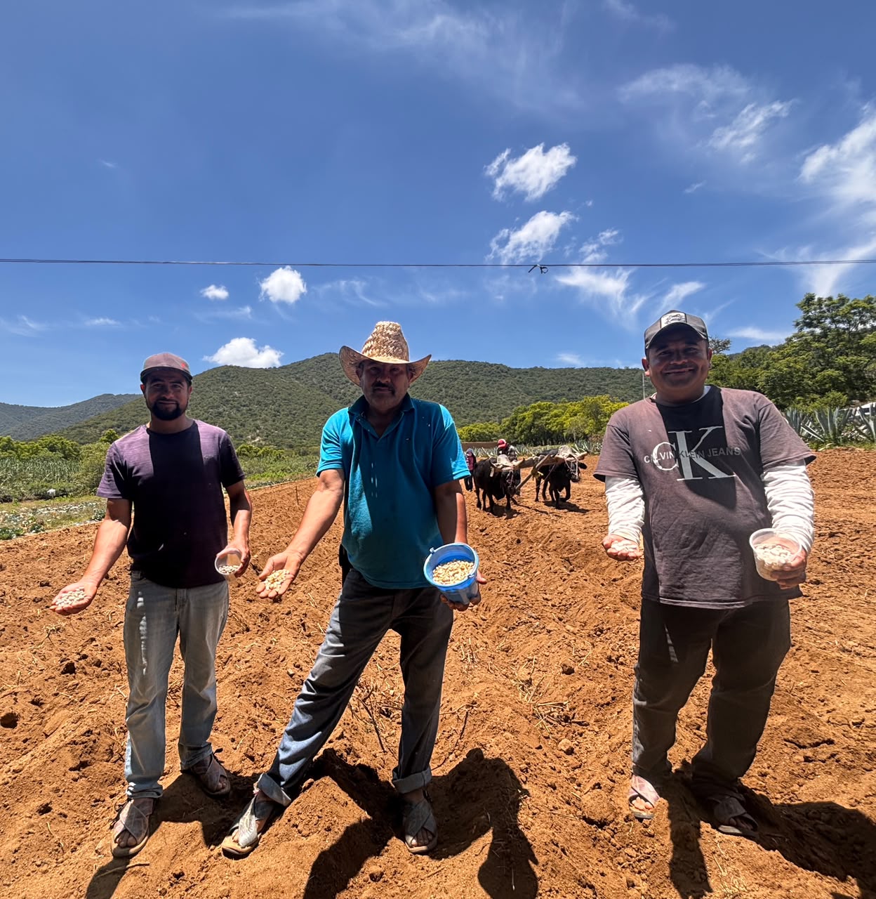 Fortalecen comunidades milperas de Valles Centrales con El Maíz es la Raíz Fortalecen comunidades milperas de Valles Centrales con El Maíz es la Raíz
