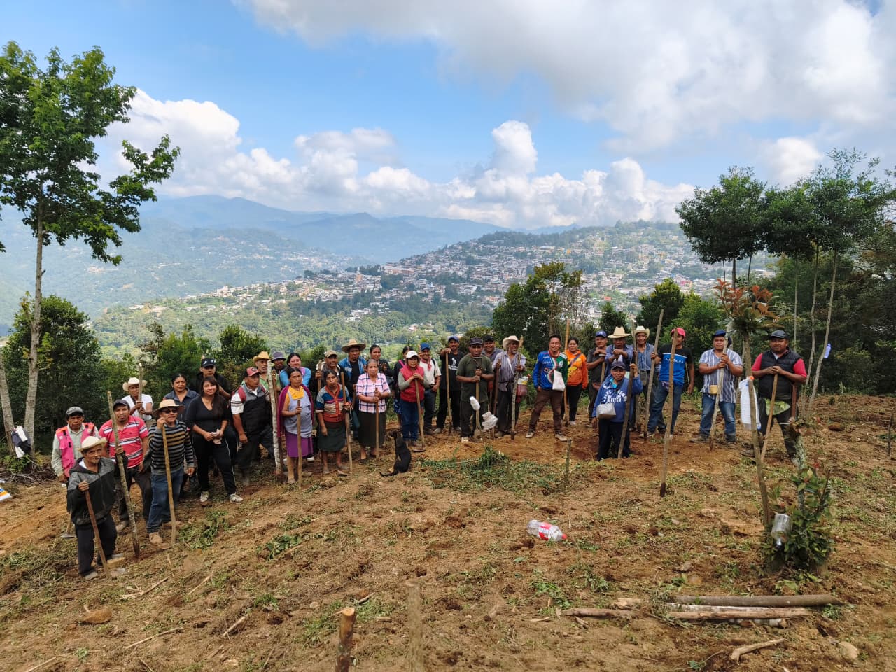 Instalan parcela de innovación para fortalecer la producción de maíz en la Sierra Mazateca