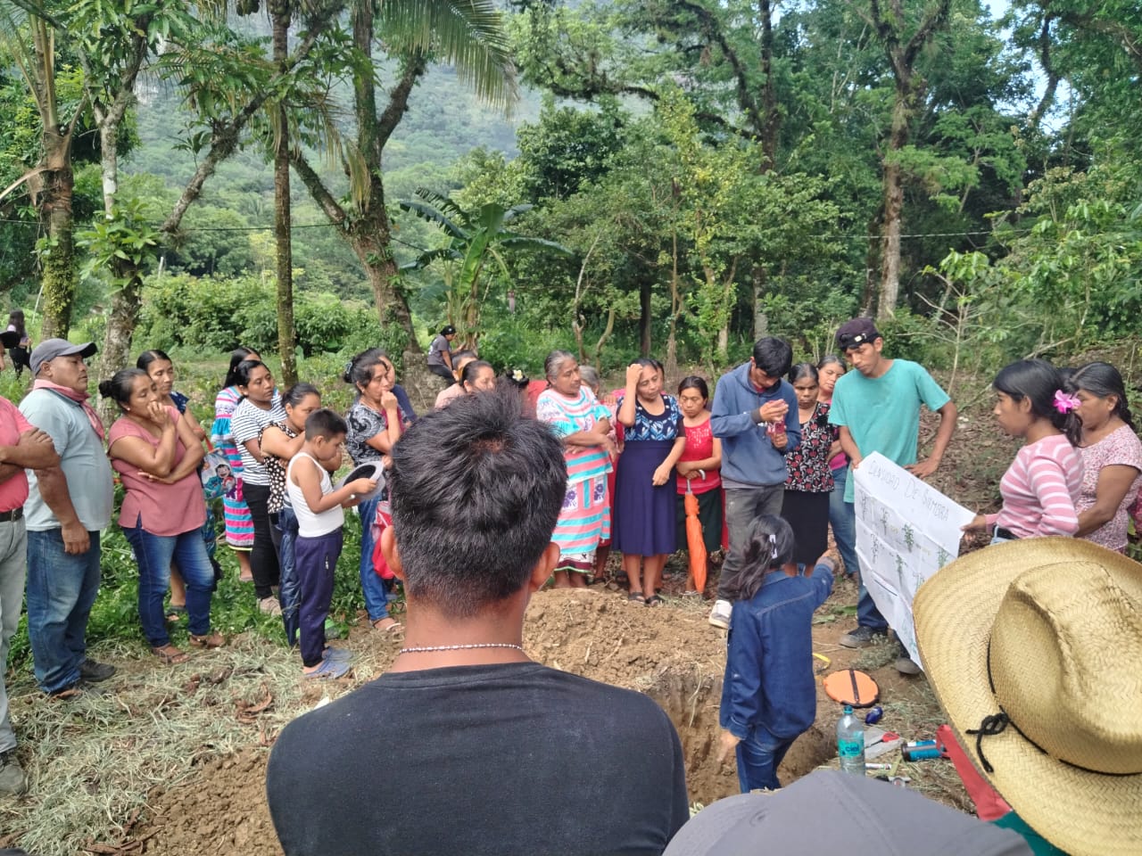 Fortalecen la producción de maíz nativo en San Bartolomé Ayautla