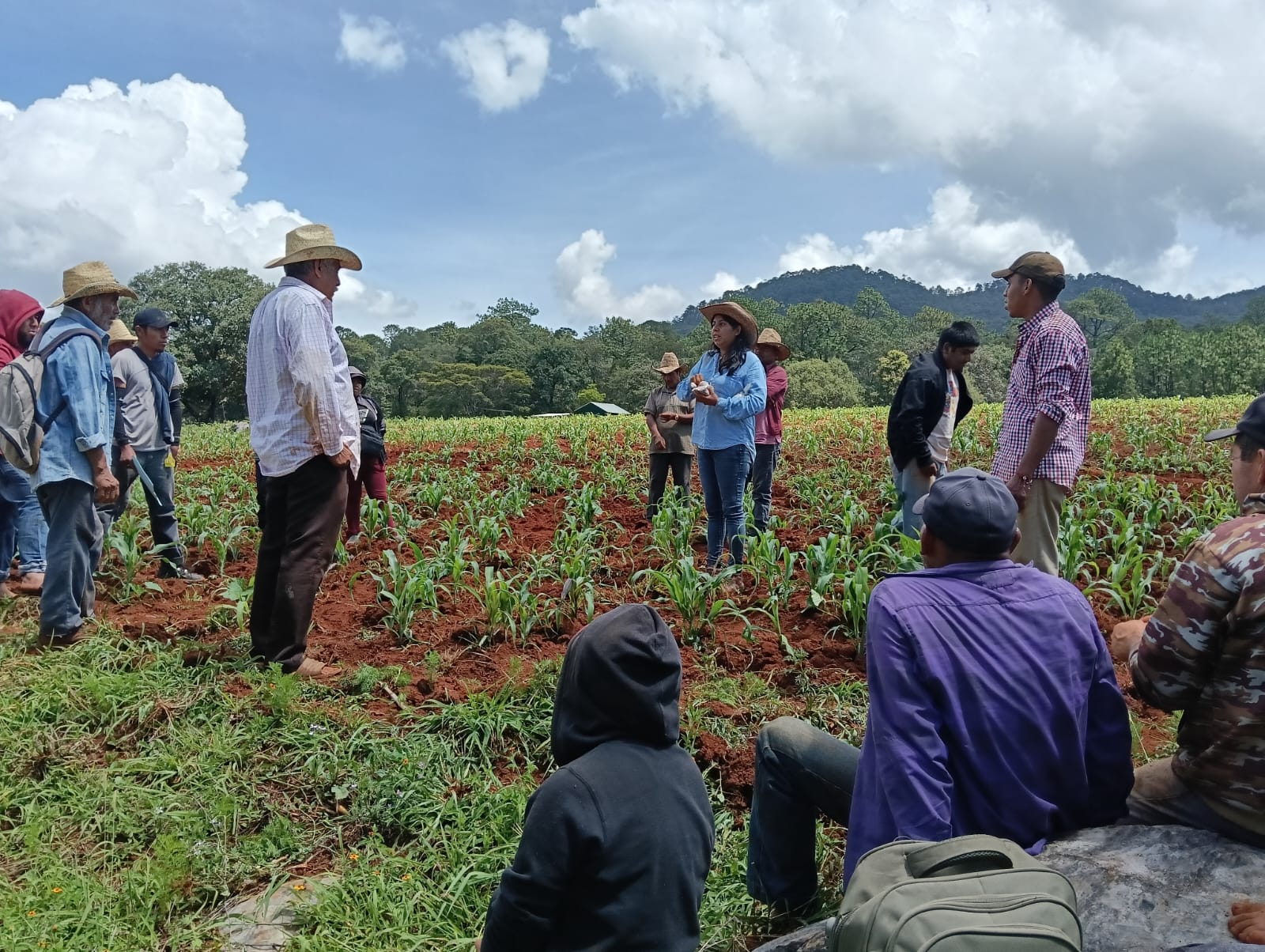 Implementan buenas prácticas agrícolas en Villa Sola de Vega Implementan buenas prácticas agrícolas en Villa Sola de Vega