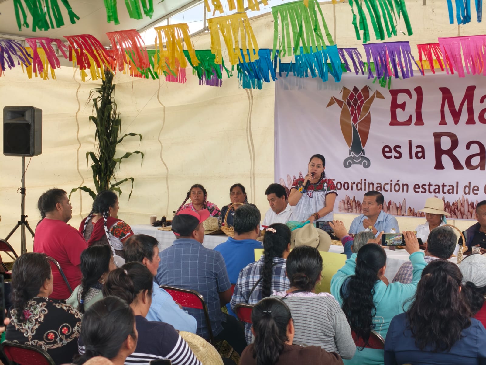 Oaxaca fortalece conservación de maíz nativo con el Plan Nacional El Maíz es la Raíz Oaxaca fortalece conservación de maíz nativo con el Plan Nacional El Maíz es la Raíz