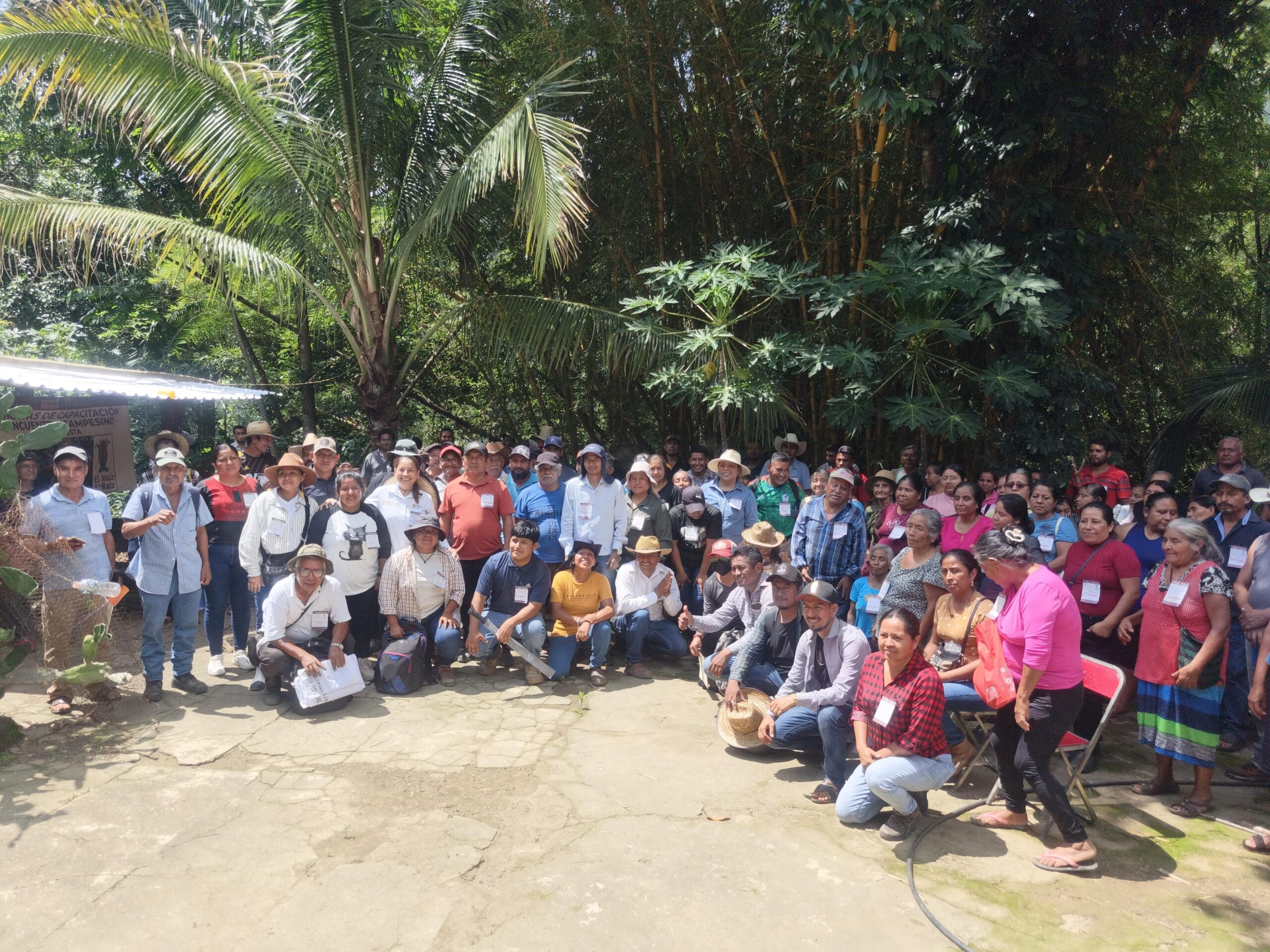 El Maíz es la Raíz consolida la soberanía alimentaria con encuentros regionales en Oaxaca El Maíz es la Raíz consolida la soberanía alimentaria con encuentros regionales en Oaxaca