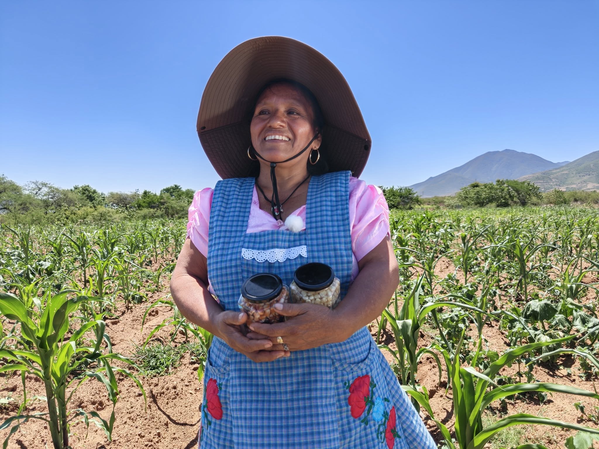 El Maíz es la Raíz fortalece el acompañamiento técnico en San Juan Teitipac, Oaxaca El Maíz es la Raíz fortalece el acompañamiento técnico en San Juan Teitipac, Oaxaca