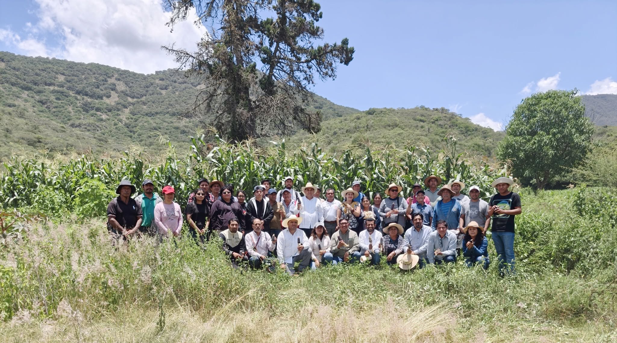 María Luisa Albores recorre parcelas de maíz nativo en la Sierra de Juárez de Oaxaca