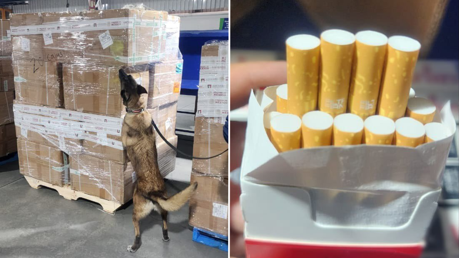 Aseguran más de 2.2 millones de cigarrillos presuntamente apócrifos en el AICM Aseguran más de 2.2 millones de cigarrillos presuntamente apócrifos en el AICM
