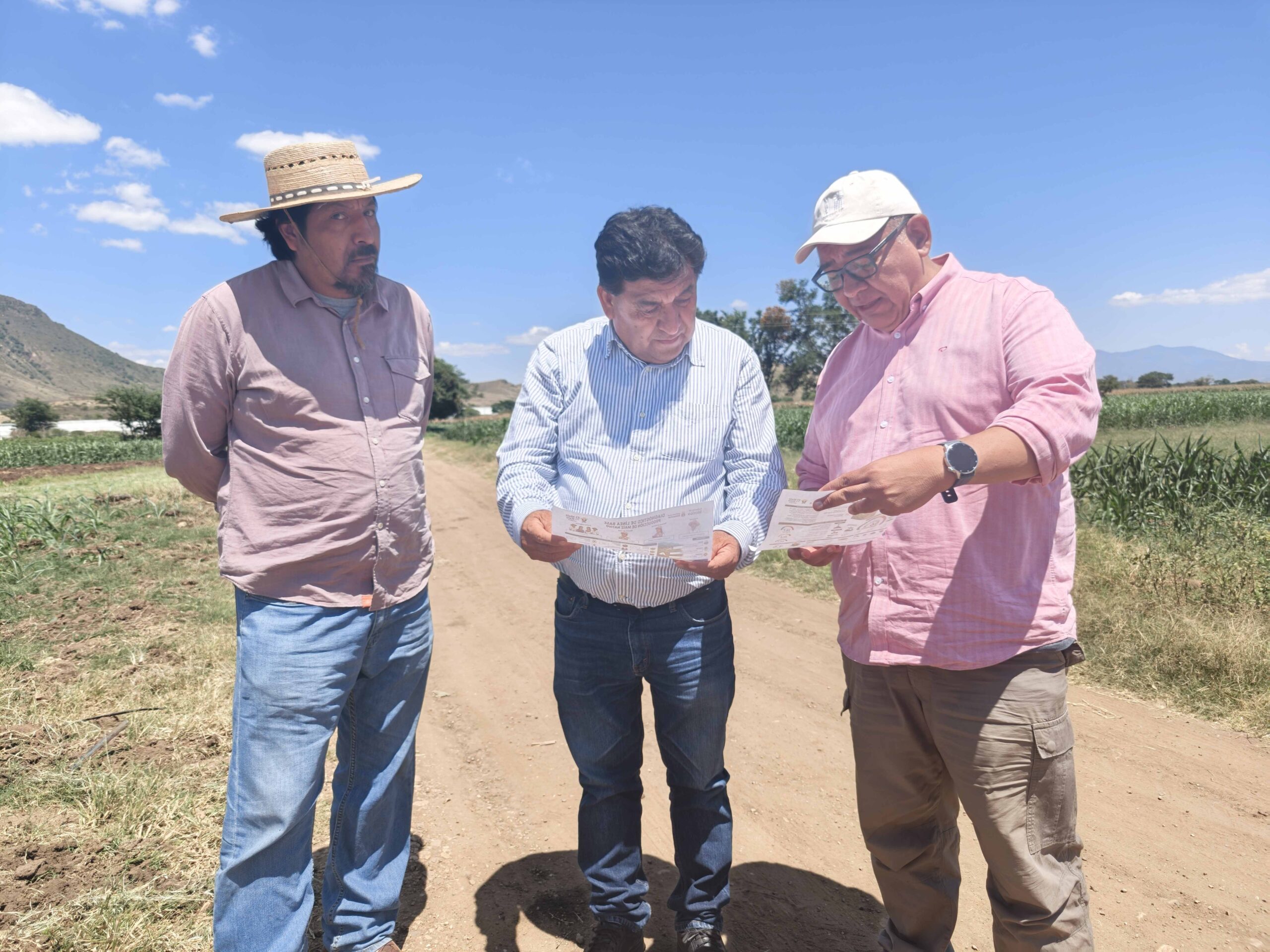 Supervisan desarrollo de parcela El Rosario en Zimatlán de Álvarez de El Maíz es la Raíz Supervisan desarrollo de parcela El Rosario en Zimatlán de Álvarez de El Maíz es la Raíz