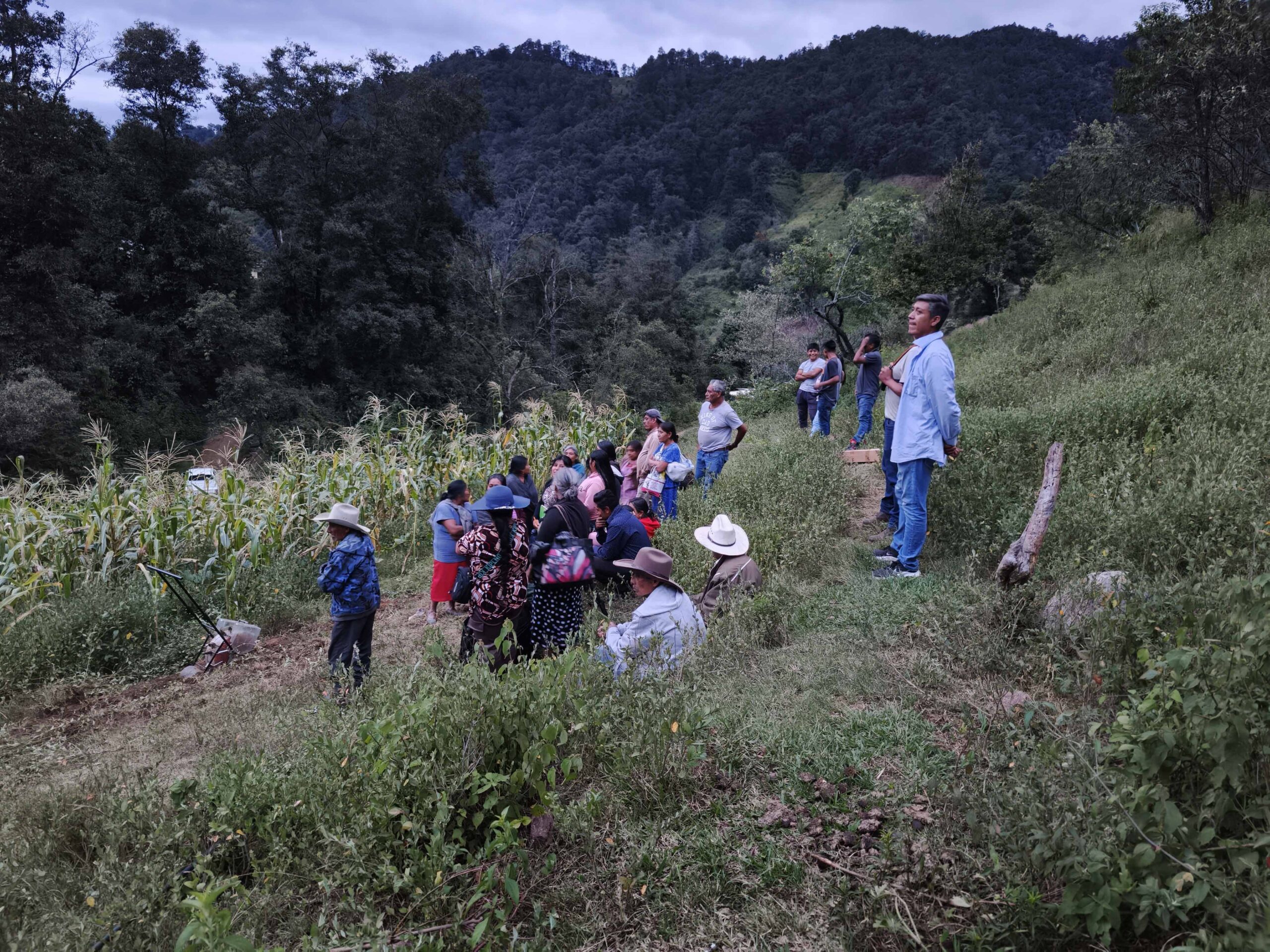 Fortalecen trabajo de la comunidad milpera de El Maíz es la Raíz en Asunción Mixtepec Fortalecen trabajo de la comunidad milpera de El Maíz es la Raíz en Asunción Mixtepec