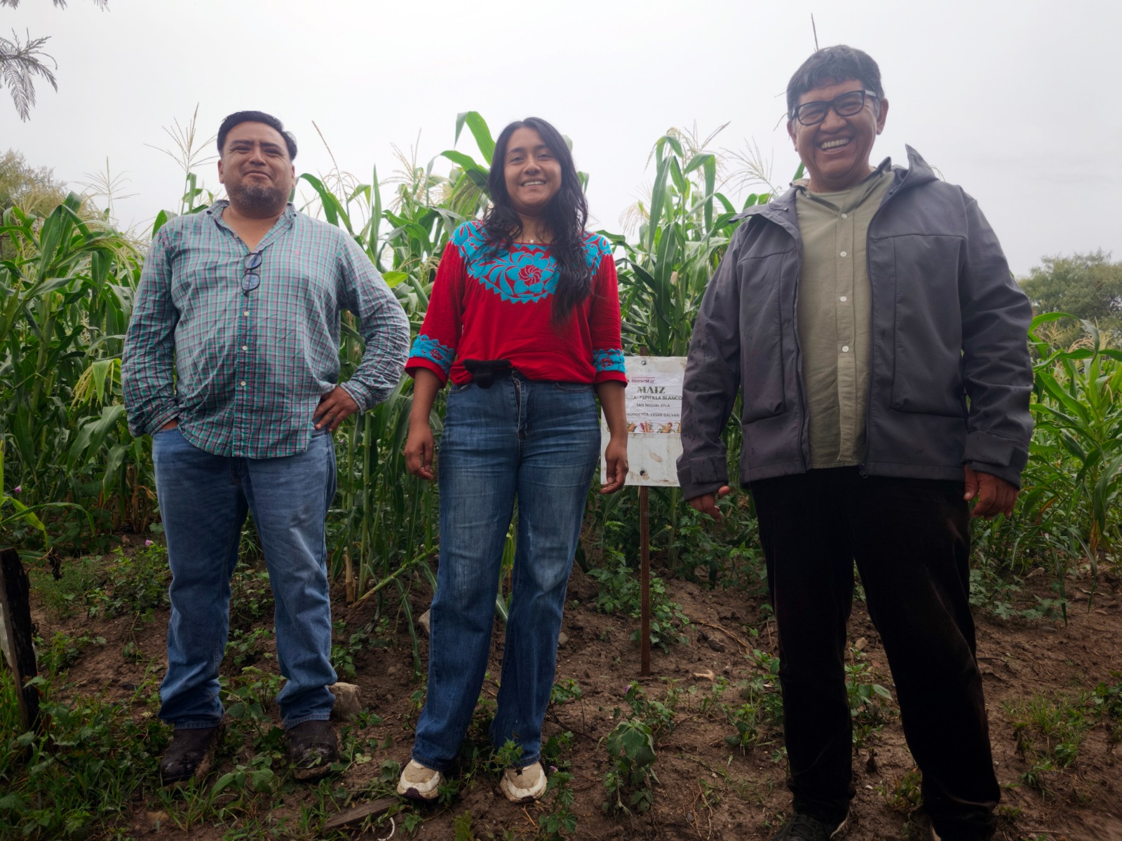 Cuando el girasol llega a la milpa: El Maíz es la Raíz apuesta por la diversidad en Oaxaca Cuando el girasol llega a la milpa: El Maíz es la Raíz apuesta por la diversidad en Oaxaca