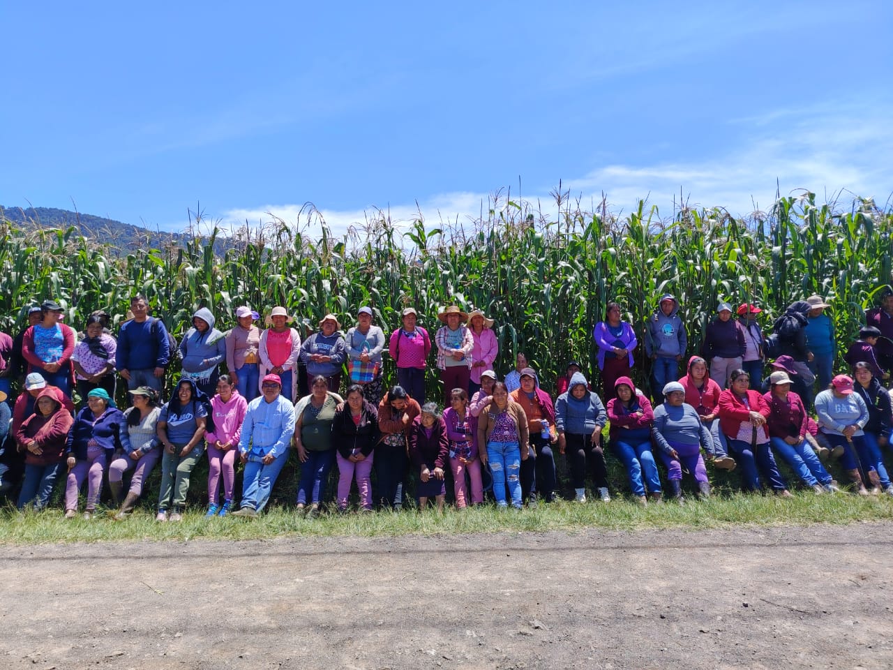 Campesinos de la Sierra Sur de Oaxaca fortalecen sus conocimientos para mejorar sus maíces nativos