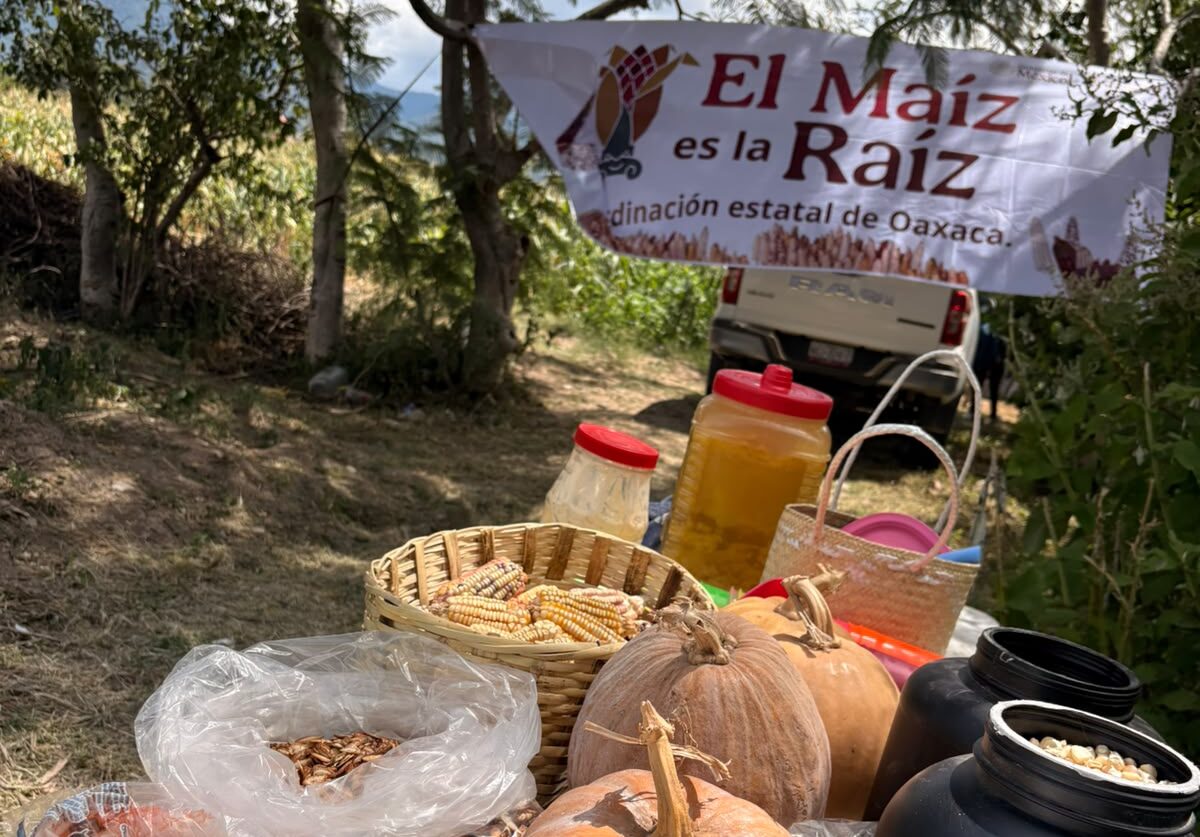 Fortalecen saberes y diversidad de la milpa en Encuentro Campesino de Santos Degollado Fortalecen saberes y diversidad de la milpa en Encuentro Campesino de Santos Degollado