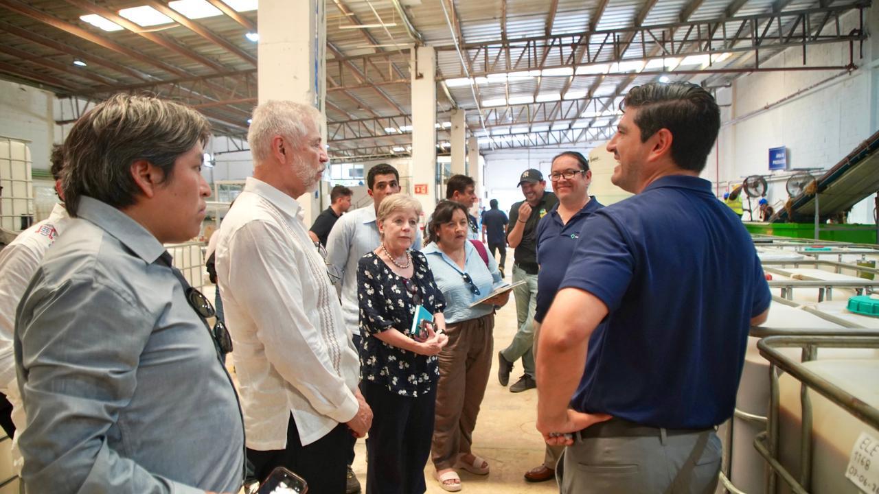 Del sargazo a los bioinsumos: Yucatán apuesta por la economía circular
