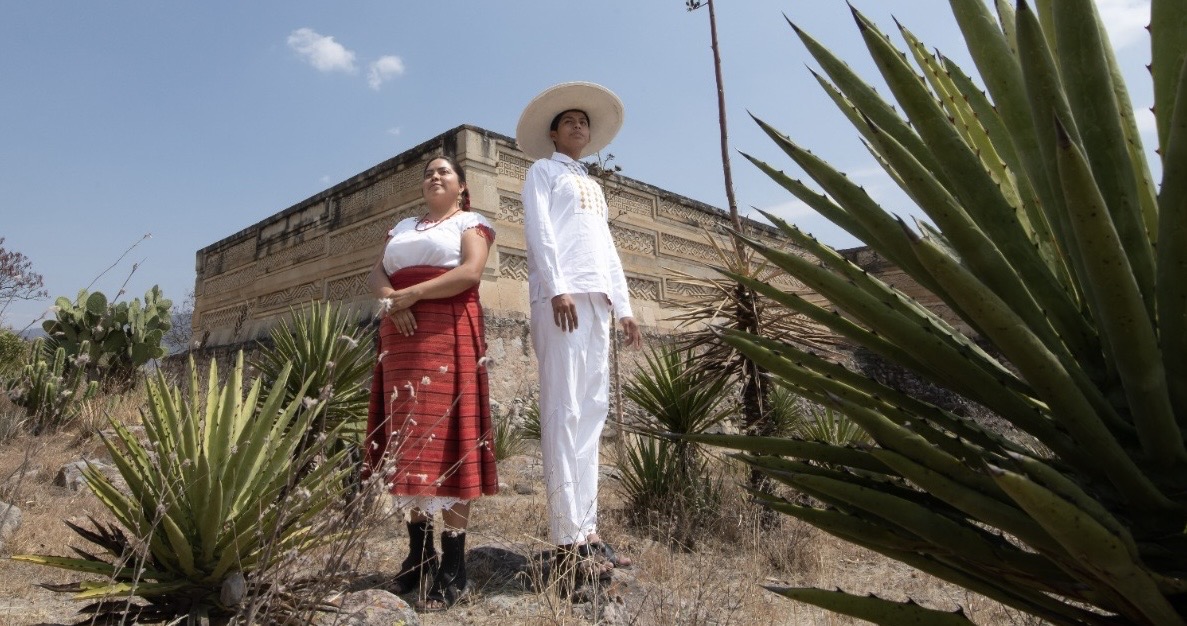Oaxaca, en el puntero de la producción nacional de mezcal