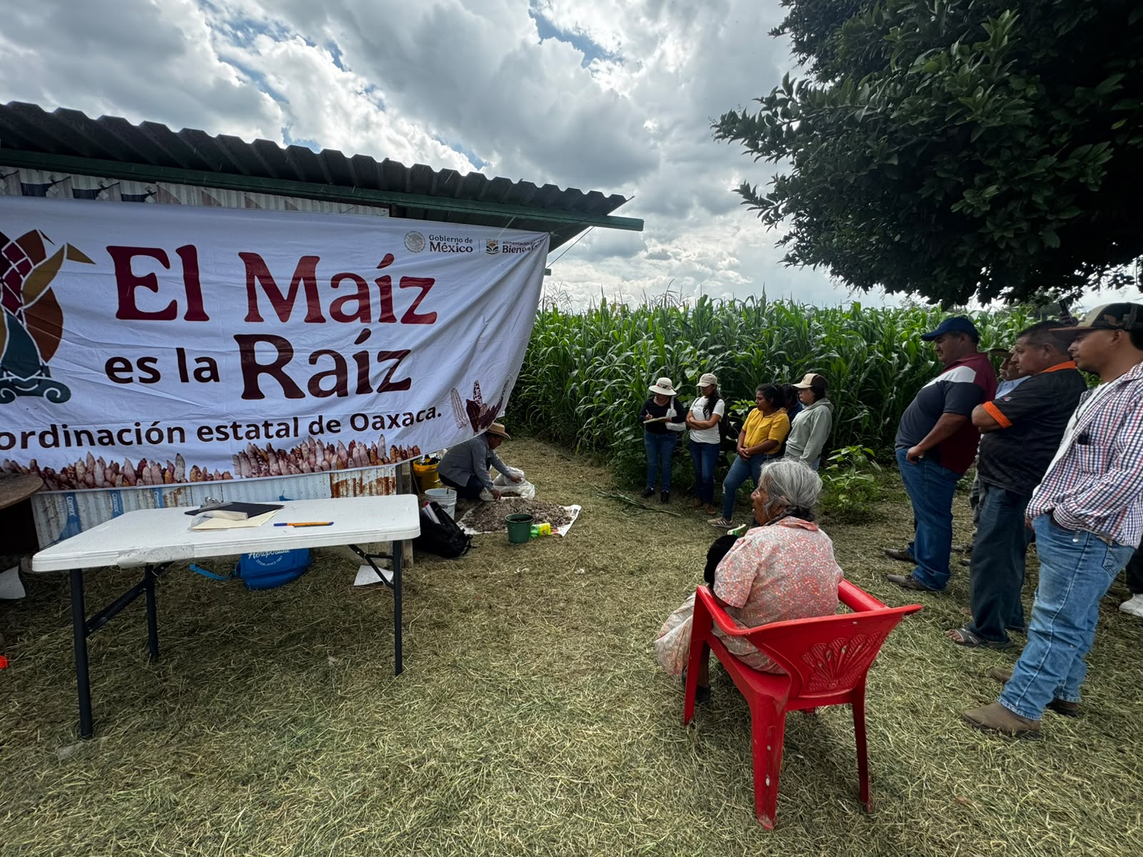 Fortalecen los conocimientos campesinos para una agricultura sustentable en Oaxaca Fortalecen los conocimientos campesinos para una agricultura sustentable en Oaxaca