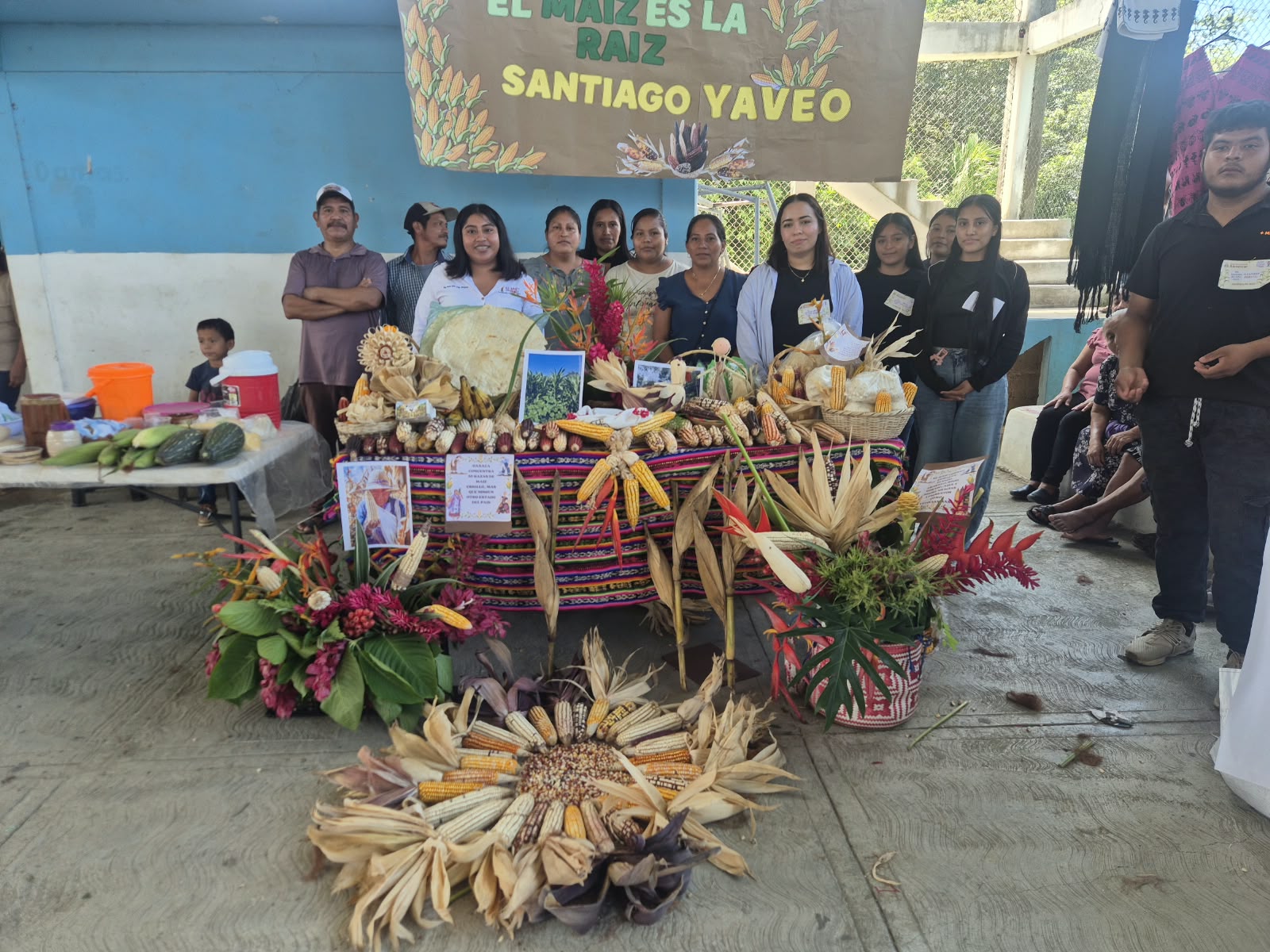 Santiago Yaveo celebra la diversidad de sus maíces criollos