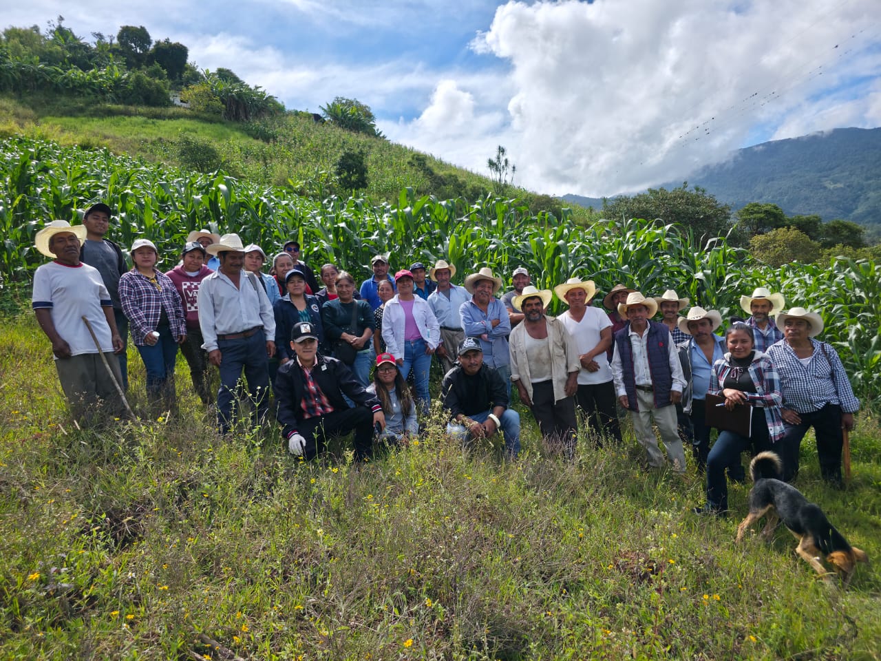 Cuyamecalco impulsa prácticas agroecológicas para fortalecer el cultivo del maíz nativo