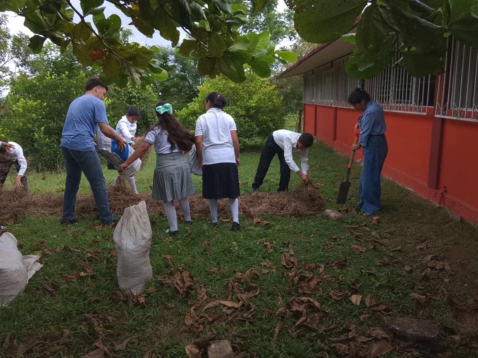 Guardianes del Maíz impulsan la formación agroecológica de jóvenes en La Carlota Guardianes del Maíz impulsan la formación agroecológica de jóvenes en La Carlota