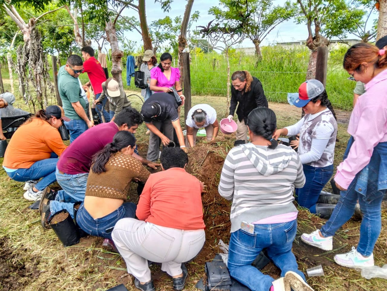 Promueve El Maíz es la Raíz siembra de milpa intercalada con árboles frutales en Loma Bonita Promueve El Maíz es la Raíz siembra de milpa intercalada con árboles frutales en Loma Bonita